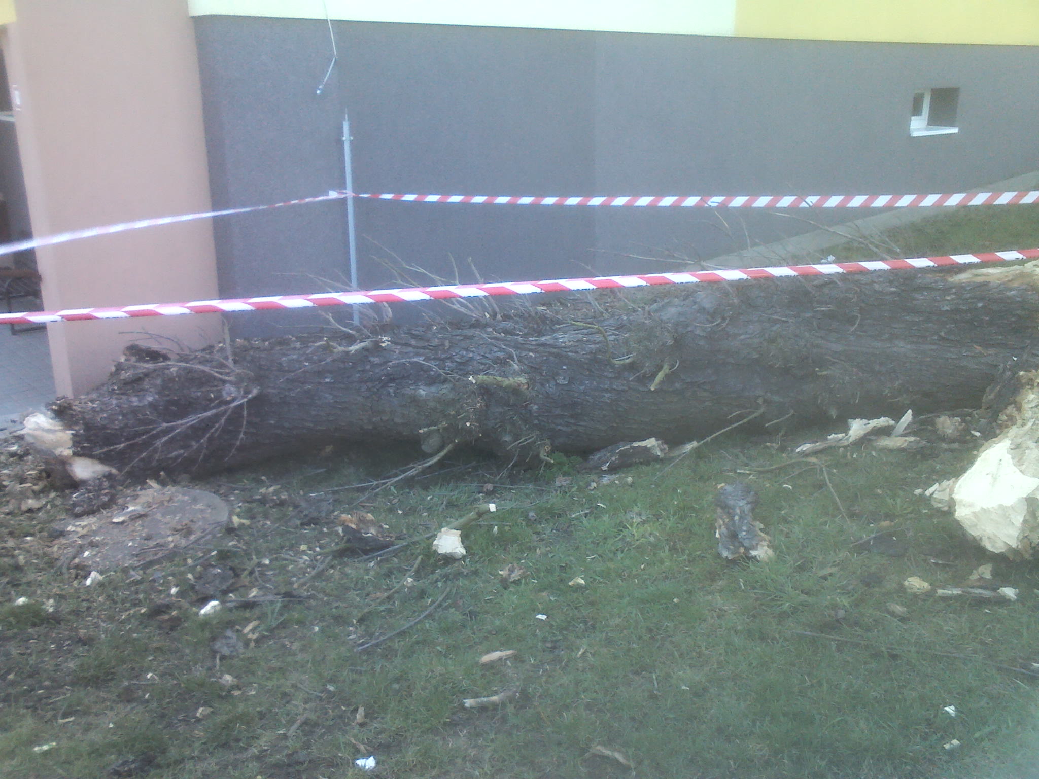 IMG00336.jpg